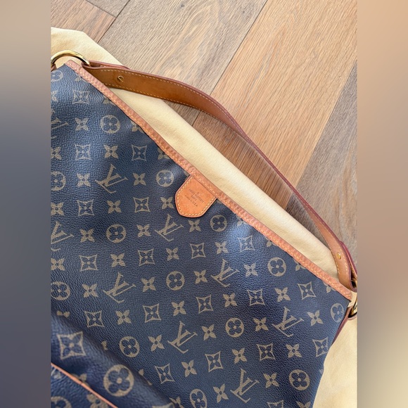 Louis Vuitton Delightful PM Monogram Bag - Picture 3 of 6